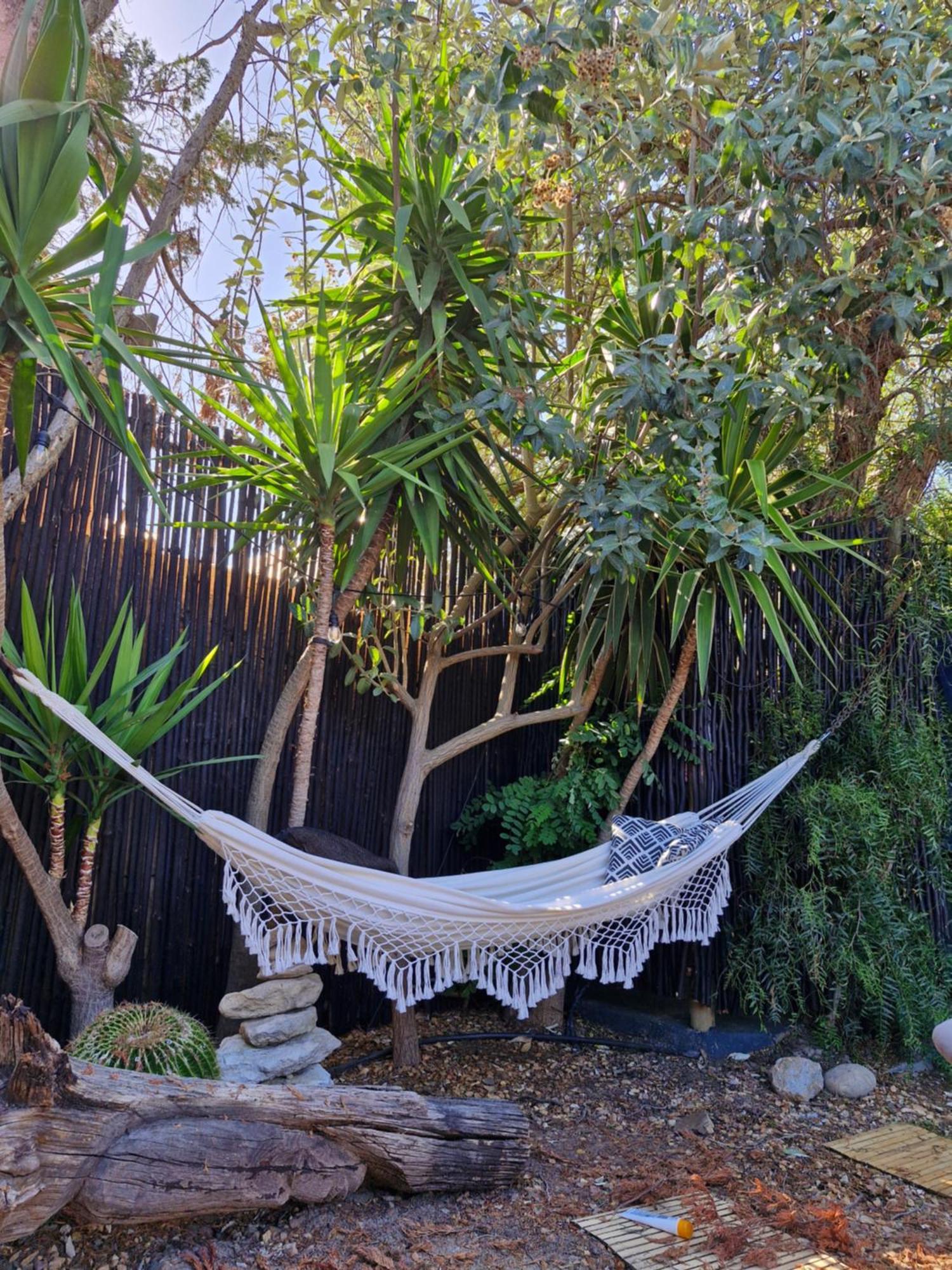 Regent Casa's - Cape Towns Blouberg Area - Where 20 People *